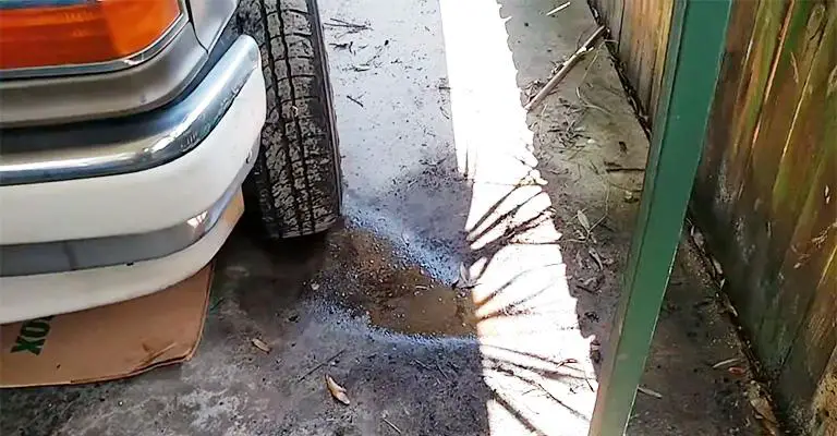 Brake Fluid Leaking From Rear Wheel
